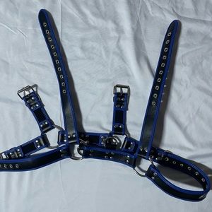 MENS LEATHER HARNESS